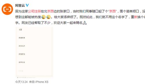 企業(yè)命名之“簡單順口” 從“京西”到“信息咨詢服務”的命名哲學